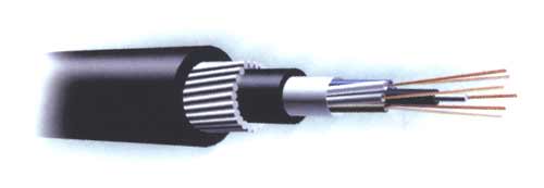 �������z���|