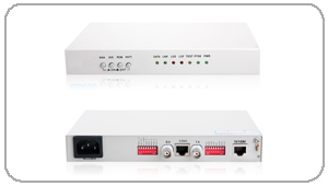 E1/ETH(GFP��)�f(xi��)�h�D�Q��