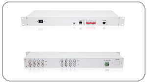 8E1/ETH(GFP��)�f(xi��)�h�D�Q��
